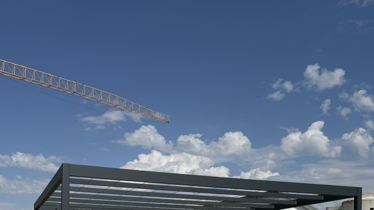 Détail de canopée et structure d’une pergola végétale