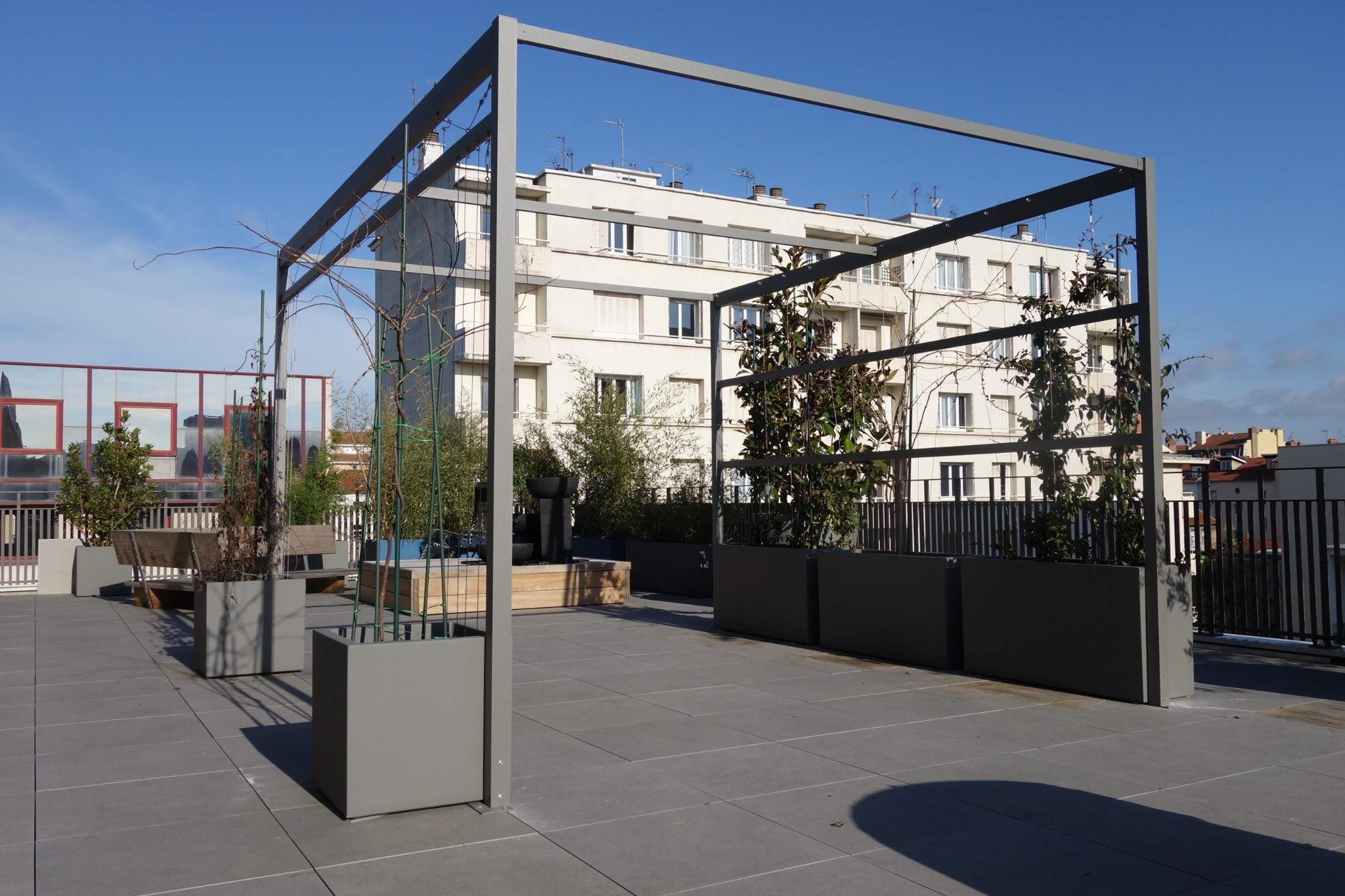 Structure végétalisée sur toiture-terrasse avec bacs de plantation